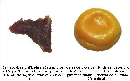 Amostras mumificadas