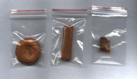 amostras_ovo_salsicha_peixe_2005