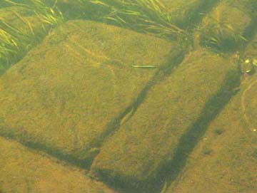 A explicação oficial para a estranha estrutura é que ela foi causada ao longo dos anos pelas concentrações de conchas e areia. Em outras palavras, a coisa toda poderia ser criada ao longo de milhões de anos por um fenômeno natural. No entanto, isto não explica por que a formação é completamente único no mundo inteiro. Também não explica porque a estrutura parece ter várias camadas.