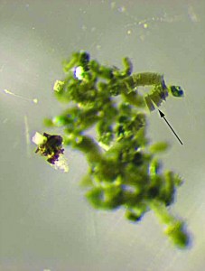 09109-scitech2-inclusionscxd