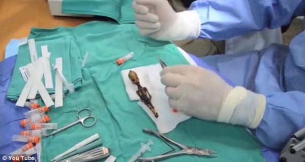 Cientistas confirmam origem de estranho e minúsculo esqueleto_5