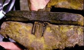 Martelo-de-Kingoodie1