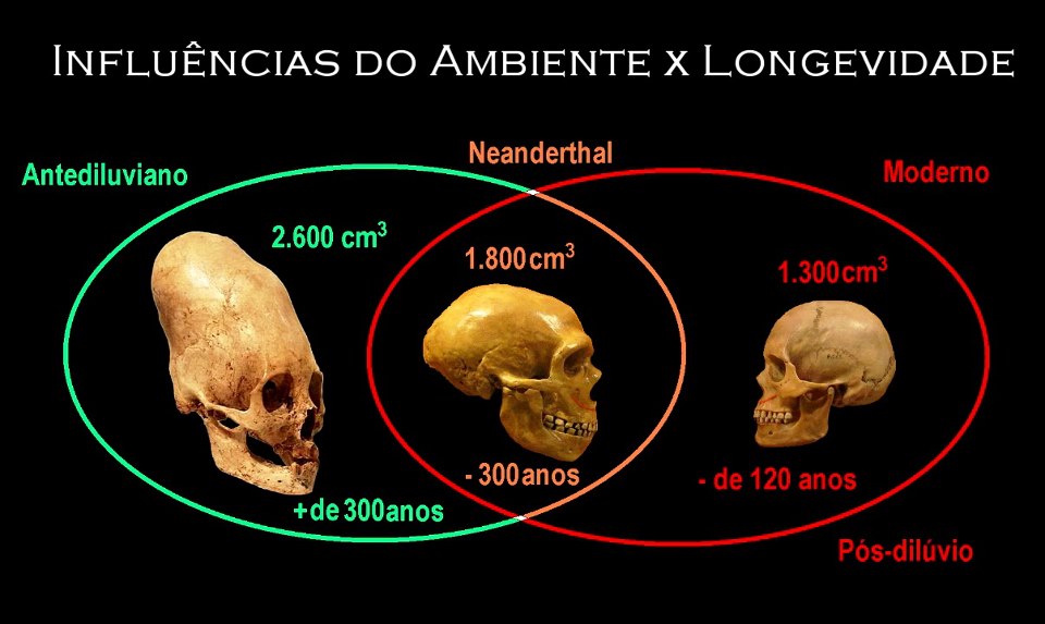 NEUROGÊNESE NO CÉREBRO ADULTO