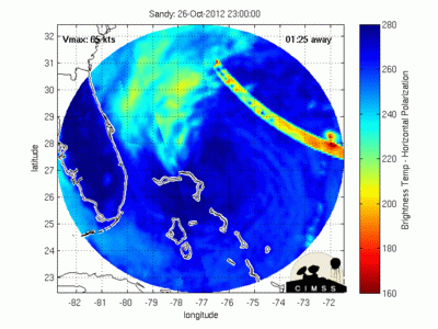 [Imagem: mimic-last-24microwave-anomaly.gif]