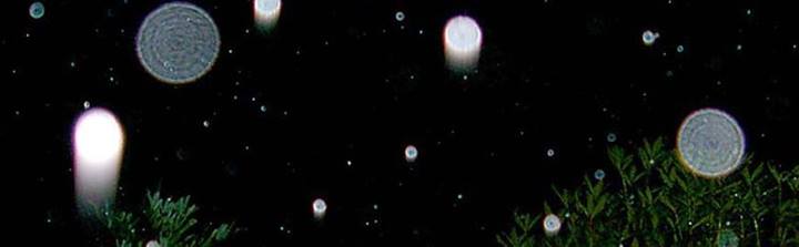 971280_449846198455998_513783574_n