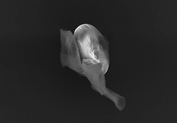 vida originada fora da Terra