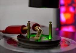 Eletricidade ajuda a cicatrizar ferimentos