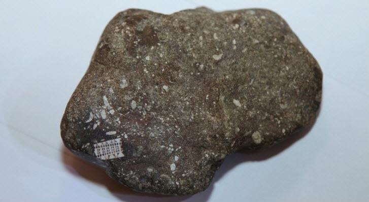 Microchip-de-250-milhoes-de-anos