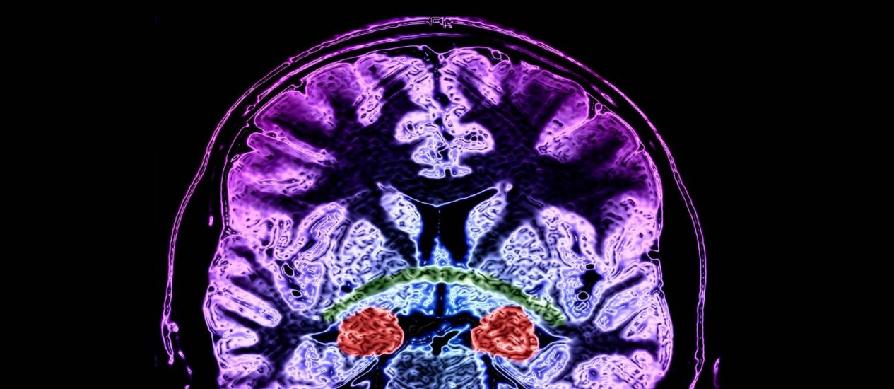 2010-335280677-2010061022291.jpg_20100610