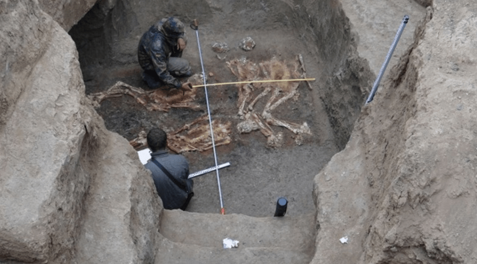 gigantes 6 piramidal.net