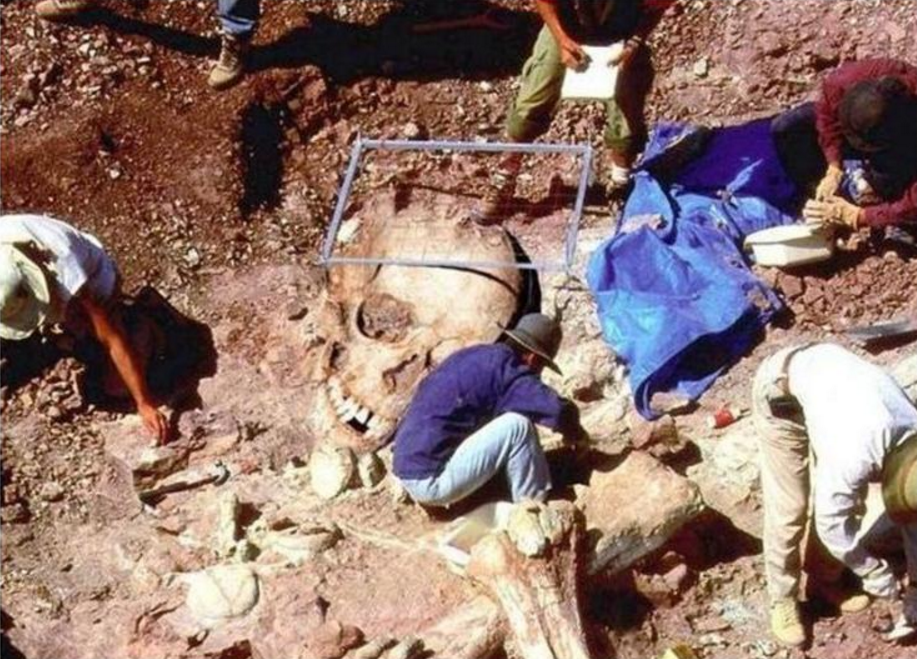 gigantes 8 piramidal.net