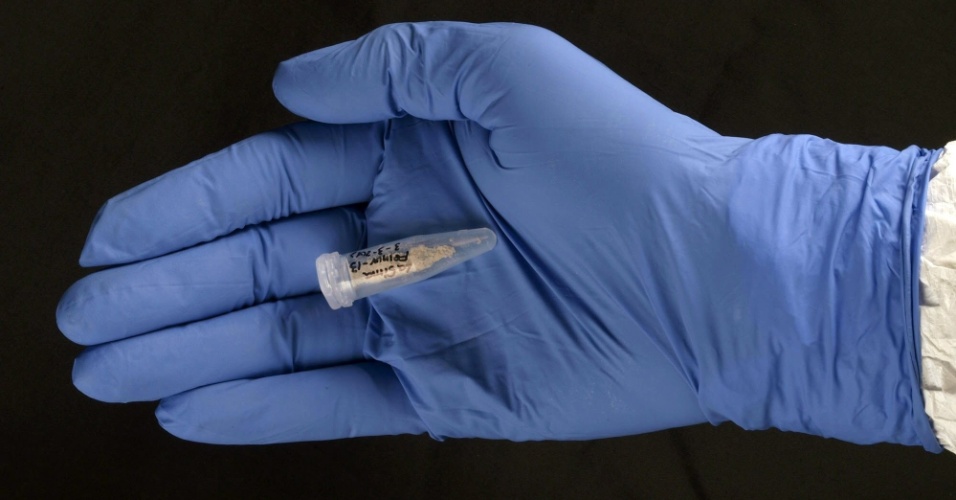 amostra-do-femur-de-400-mil-anos-piramidal.net