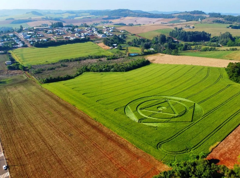 Figura surpreendente surgiu em Ipuaçu, mas não é a primeira vez que isso acontece.
